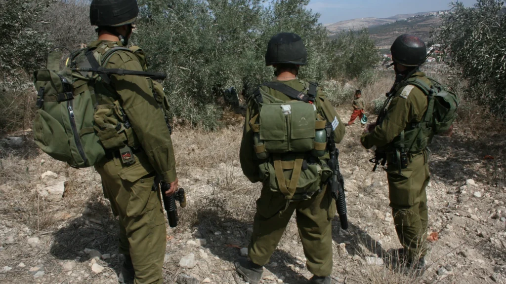 Israeli military forces and Palestinian olive groves in the West Bank